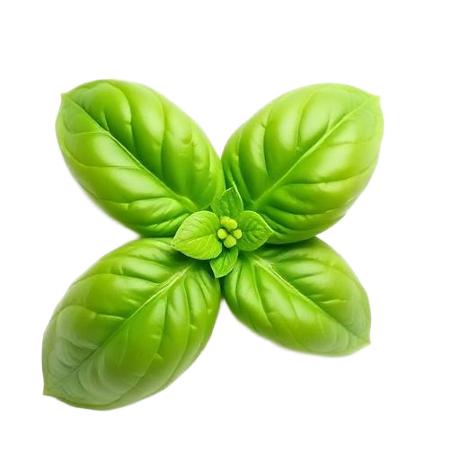 basil